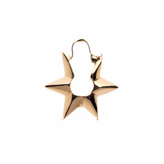 Big Star Earring 9ct Ina Gold