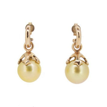Majesty Pearl Drop Pair with Gold South Sea Pearls in 9ct Ina Gold